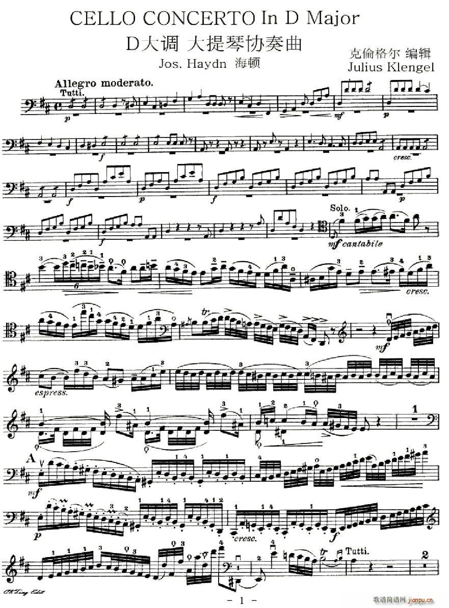 J. Haydn Concerto in D Major(V)1