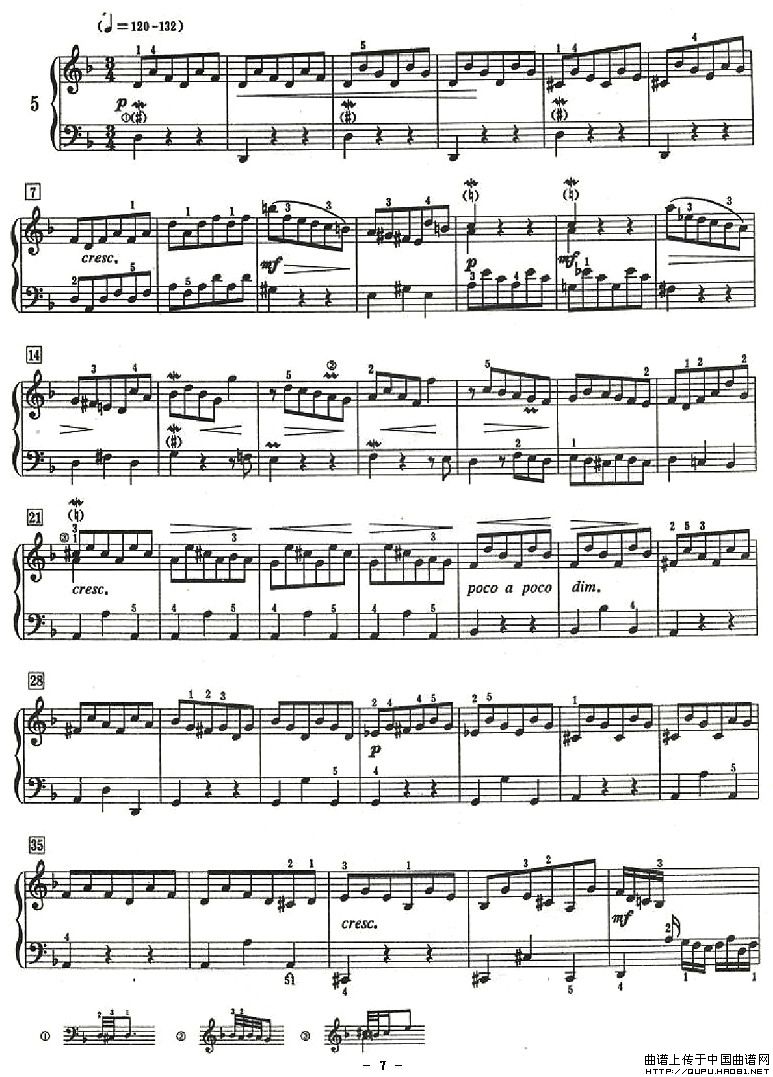 ʮСǰP7(V)1
