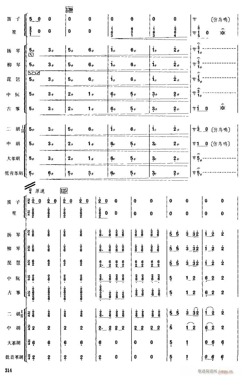 (bo)11(V)1