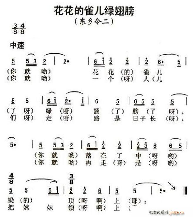 ȸG(ָV)1