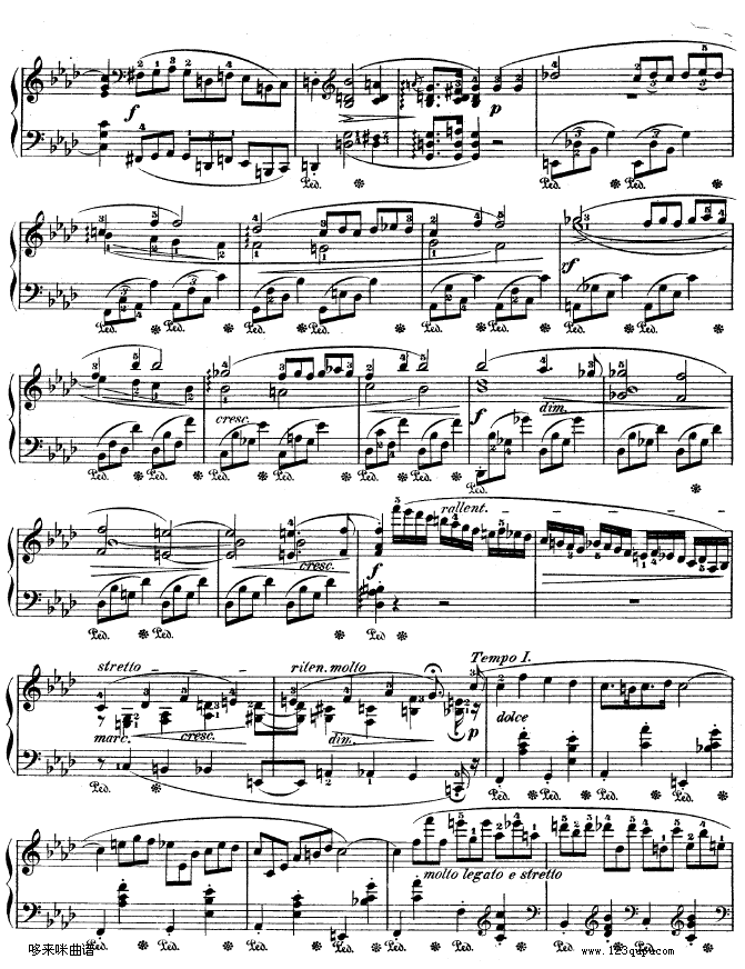 ҹNo.15-OP.55-1-Ф(V)3