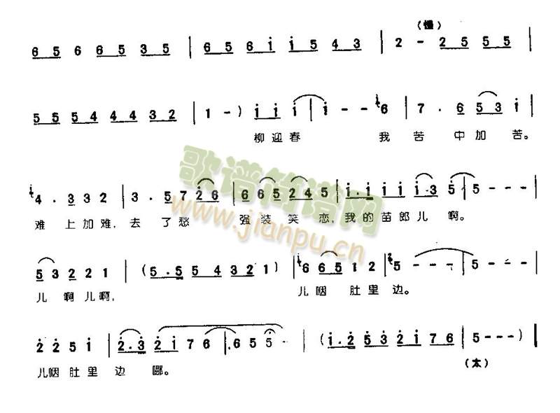 һIQһ0003()3