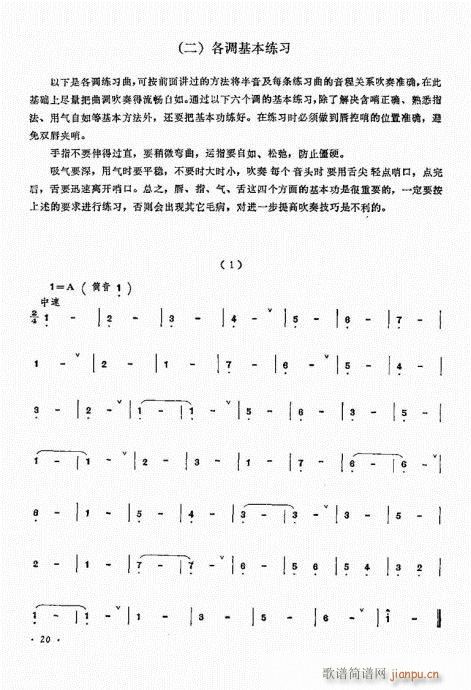 ˇg(sh)1-20(V)20