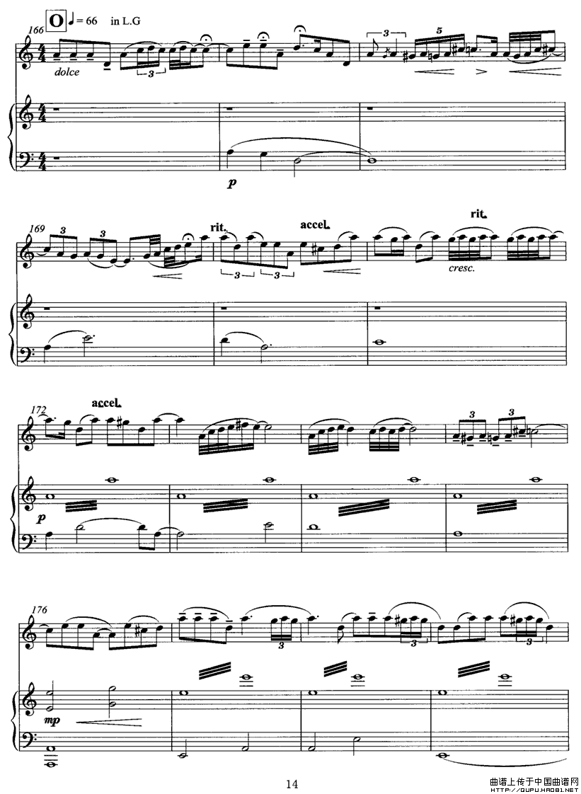 wP14(ָV)1