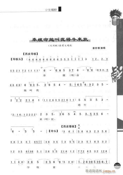 ݋241-260(V)17