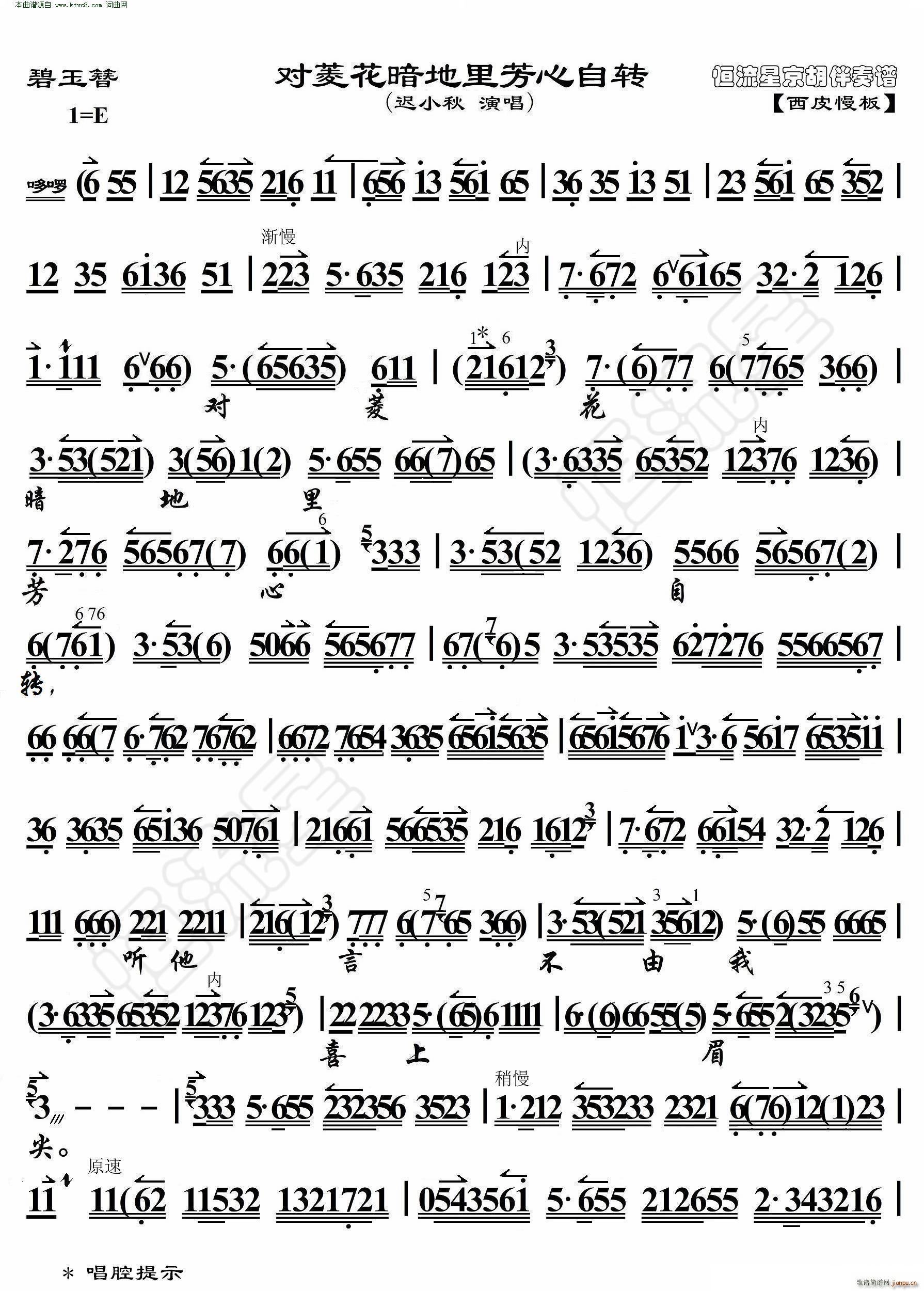  ⻨﷼D(zhun) V(V)1