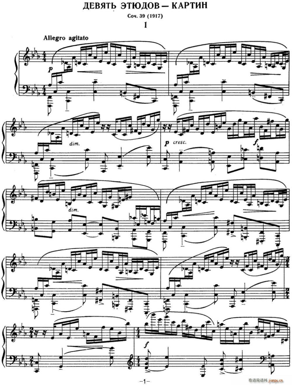 լZ (x)910 Etudes tableaux Op 39 No 1(V)1