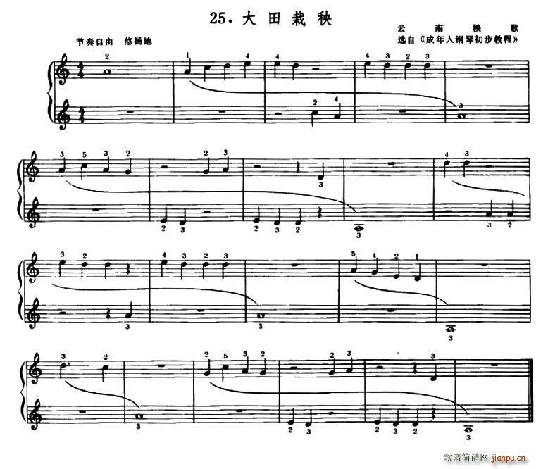 (V)1