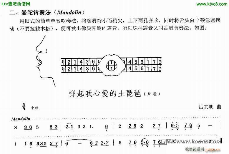෨(x)(V)1