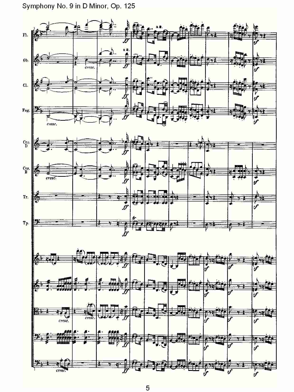 DС{ھŽ(V)5
