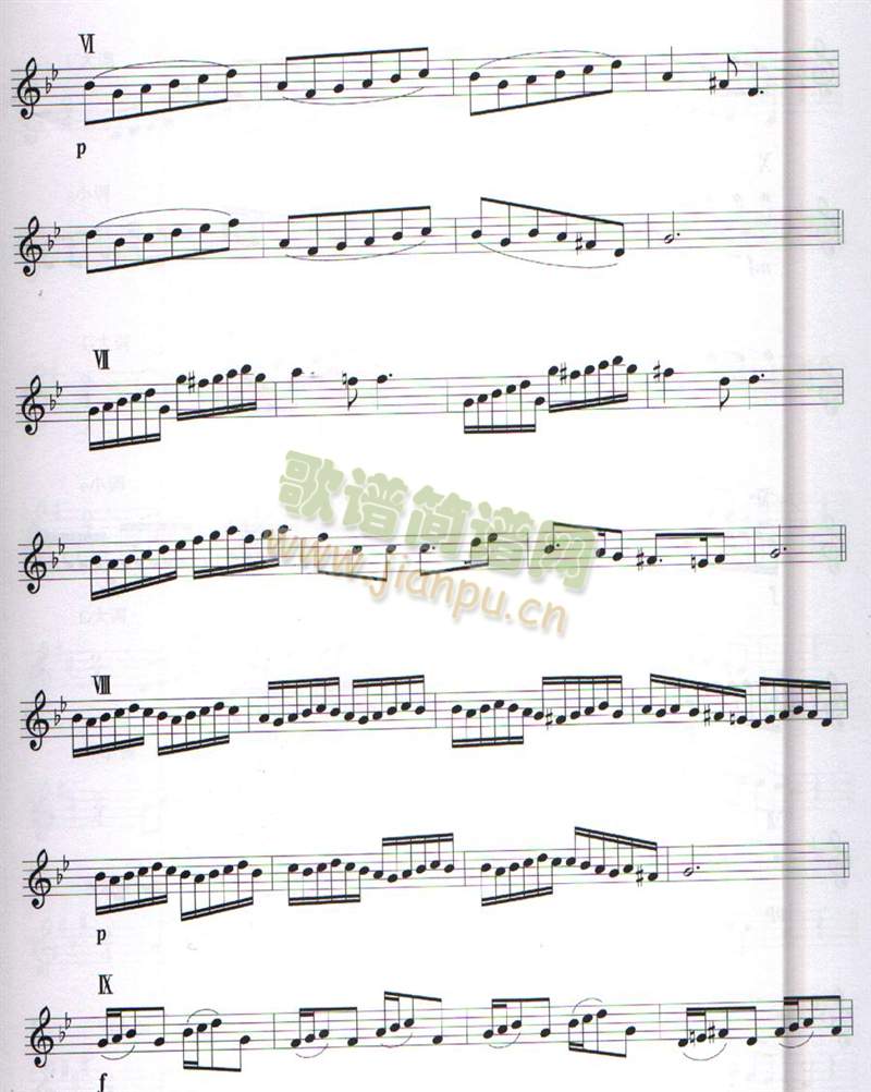 LјVG׃greensleeve(ѺV)3