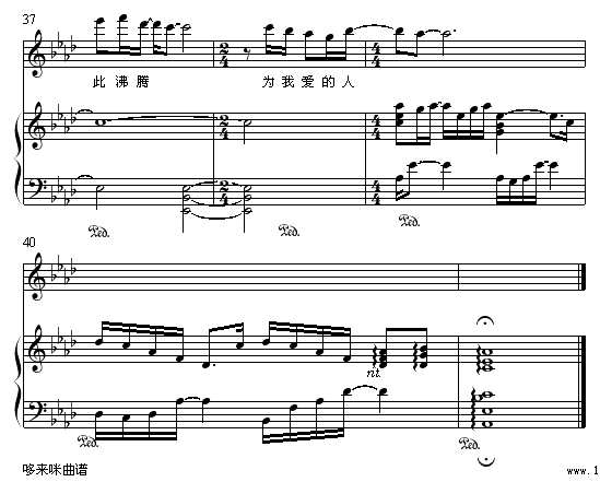 ol-o(V)5