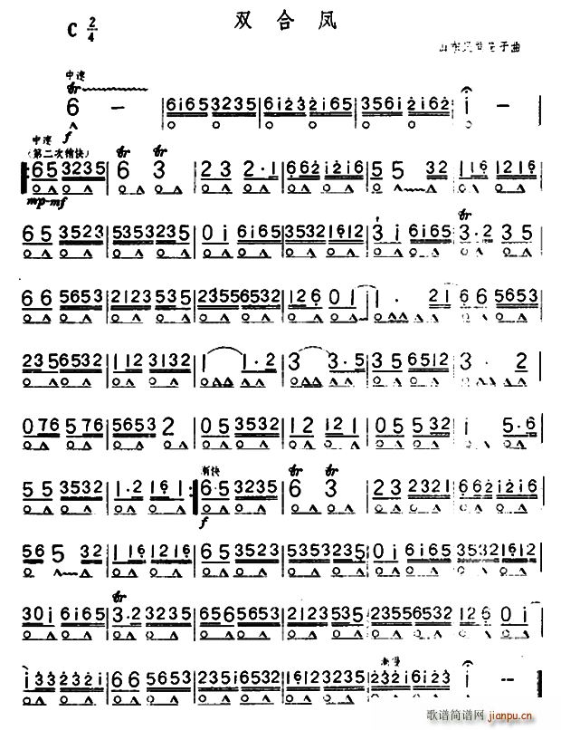 pP(V)1