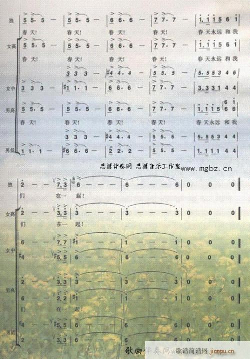 ף---- (tng)(ʮּ)3