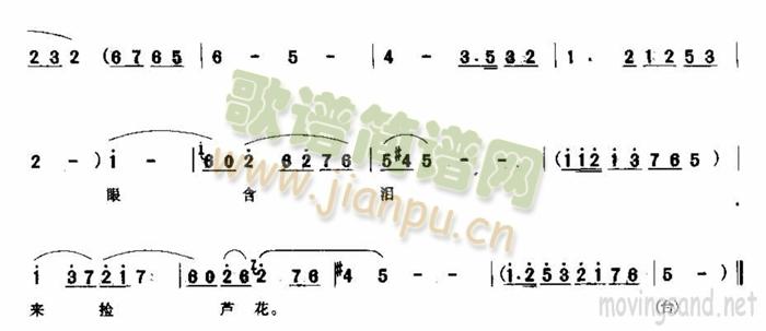 ߴT팢^(ʮּ)3