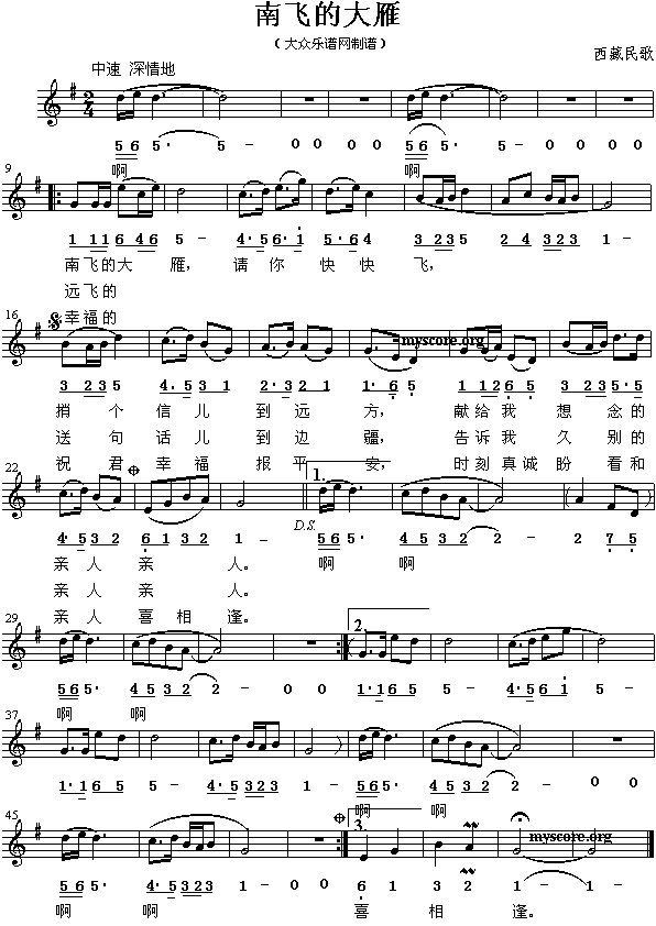 裺wĴ()1