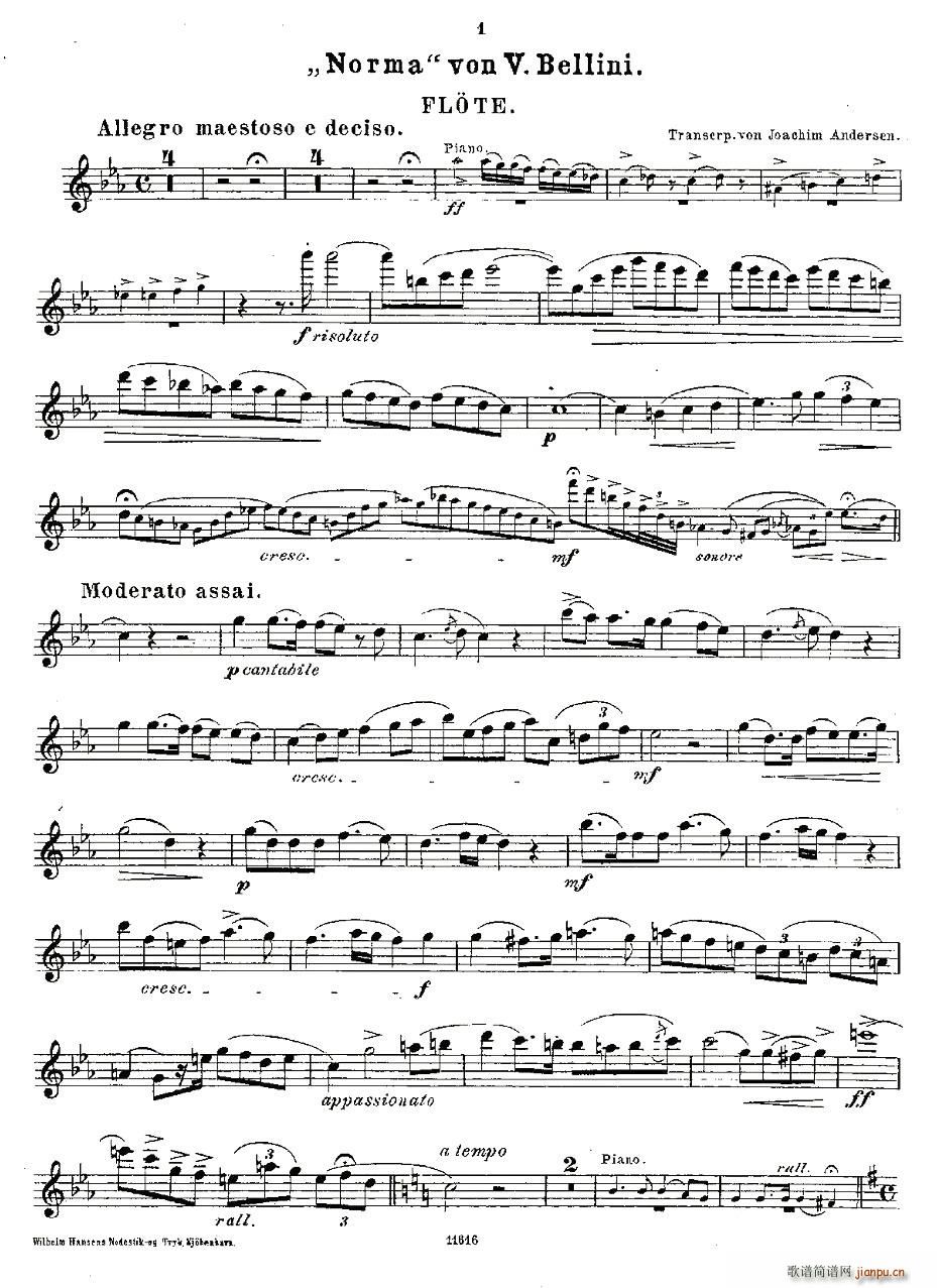 Opern-Transcriptionen.Op.45-2(ѺV)11