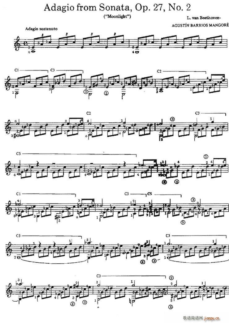 Adagio from SonataOp 27No 2 ŵ伪(V)1