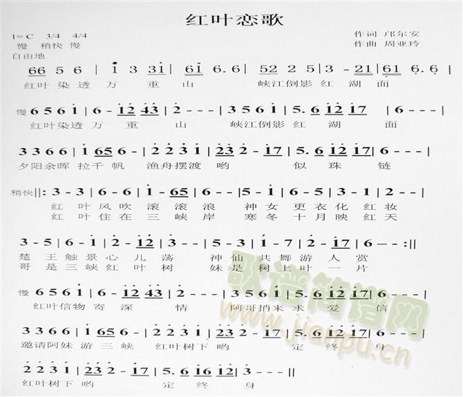 ɽt~ٸ(ָV)1