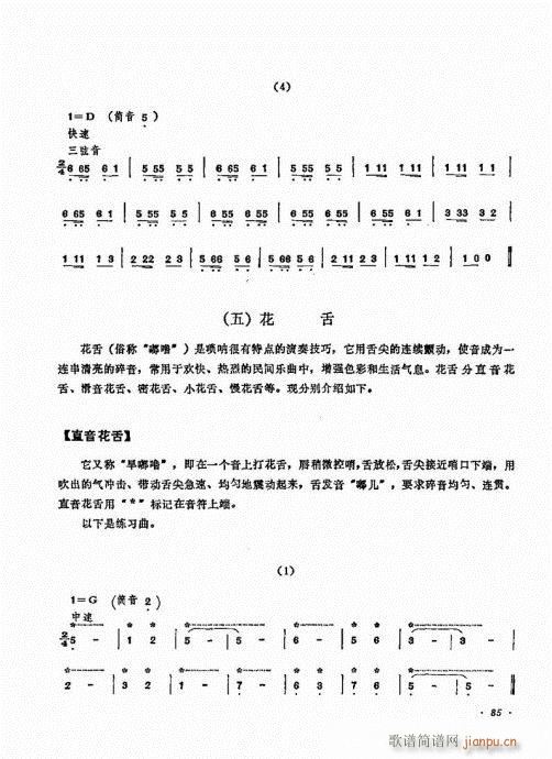 ˇg(sh)81-100(V)5