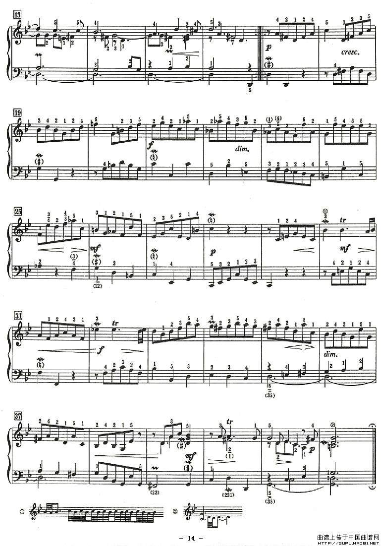 ʮСǰP14(V)1