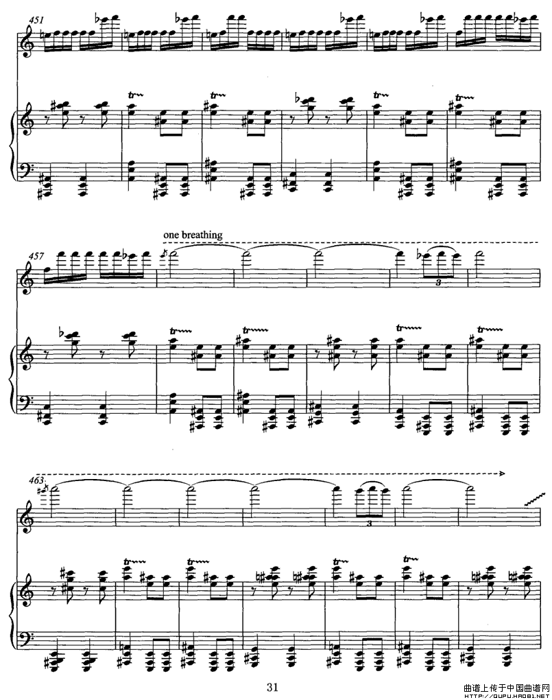 wP31(ָV)1