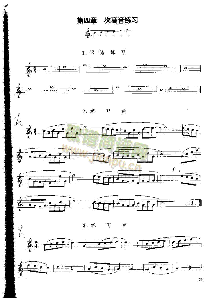P029(V)1