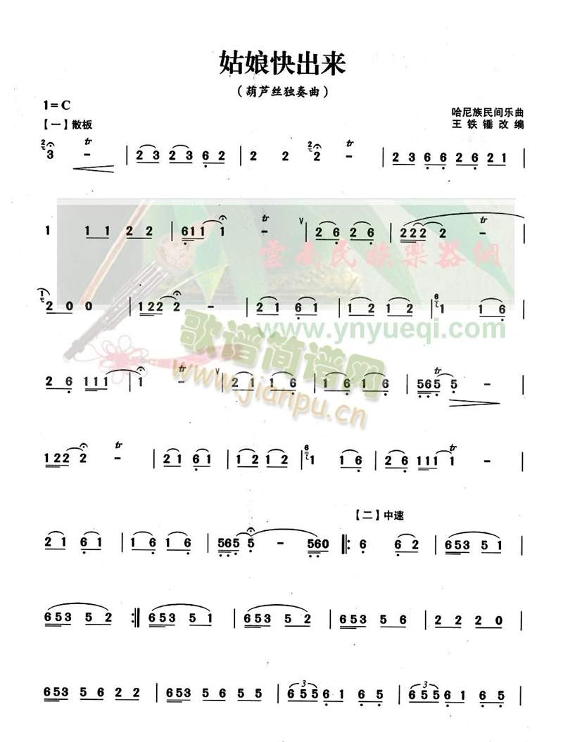 (JzV)1