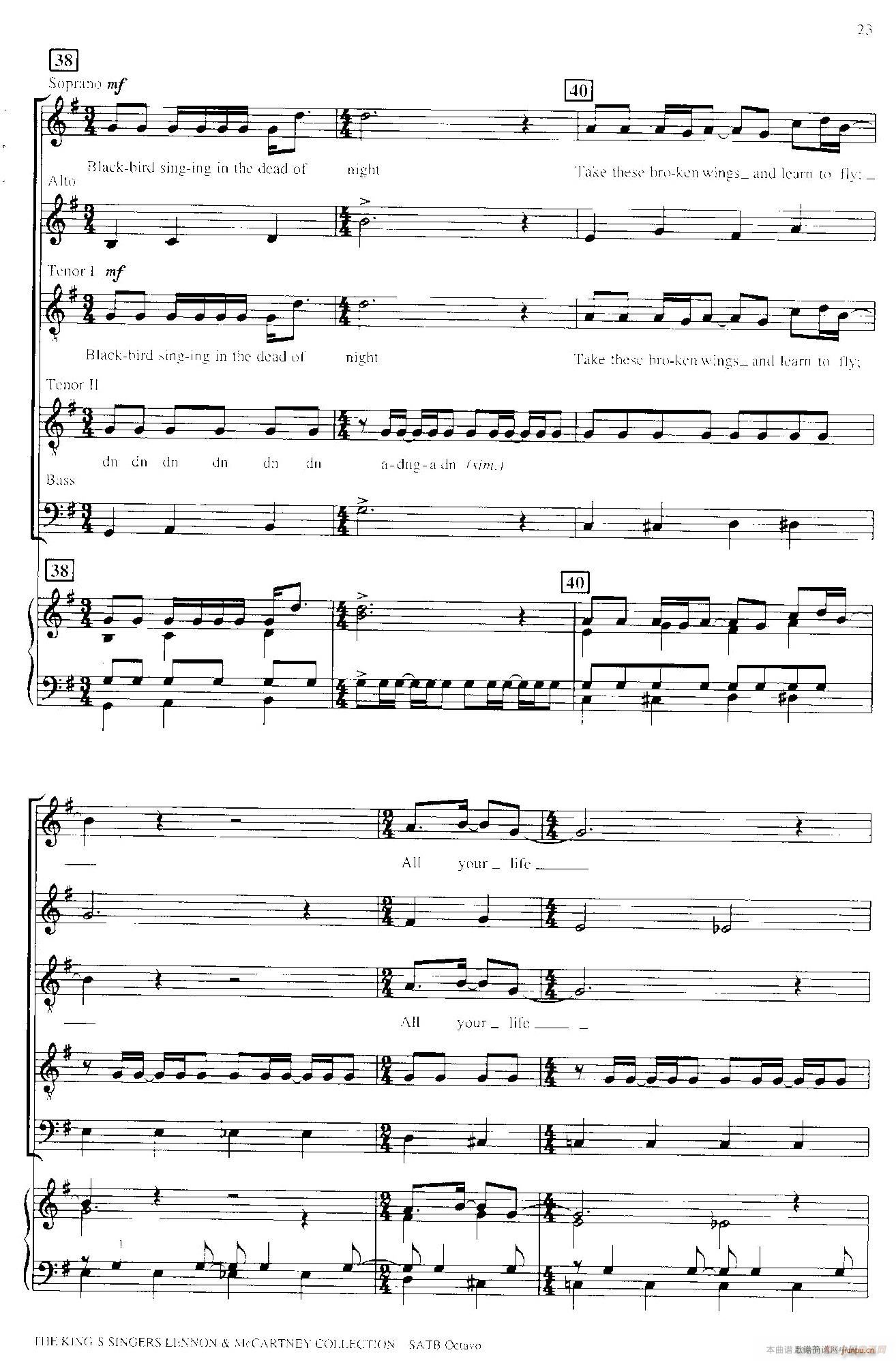 Blackbird  ٰ(V)7