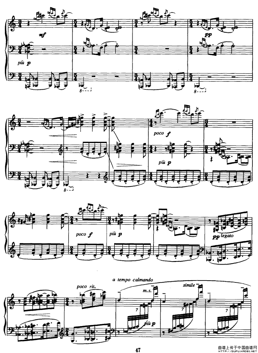 龰P6(V)1