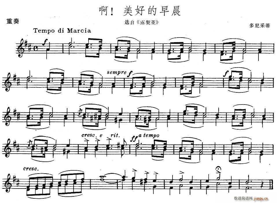 õ糿(V)1