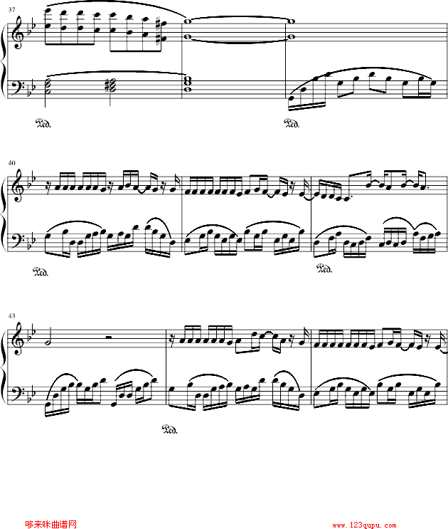 ɳ-(V)5