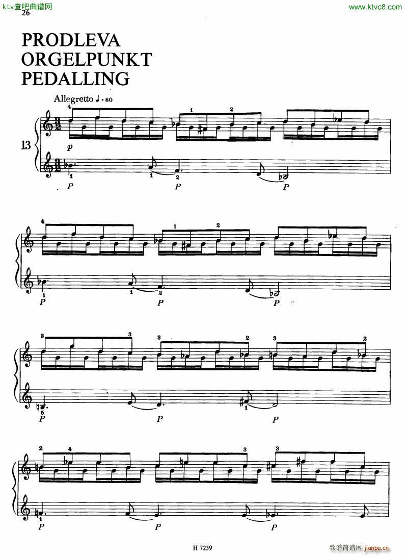 Hurnik piano etudes(V)23