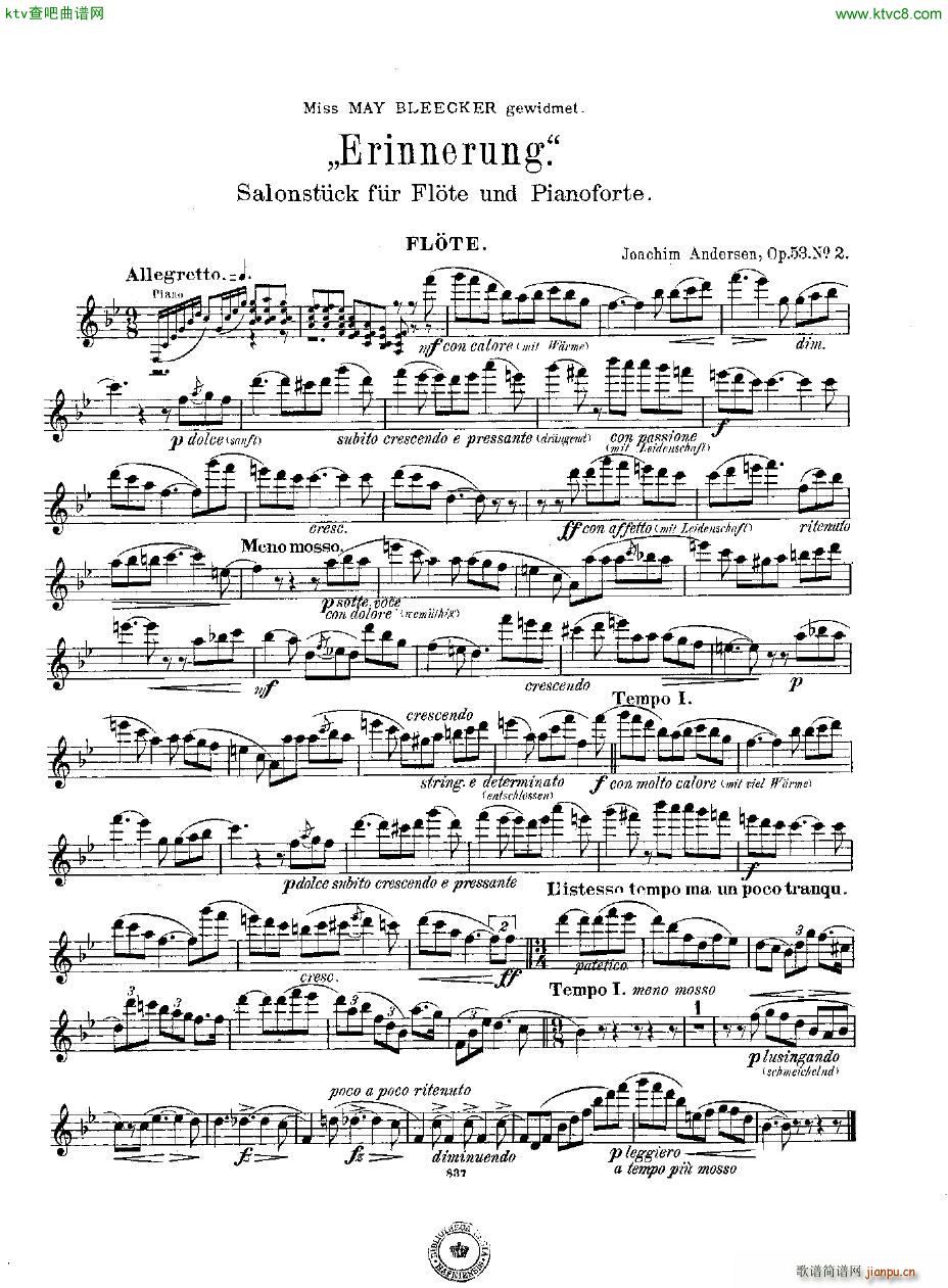 Andersen op 53 no 2 Erinnerung fl pno(V)6