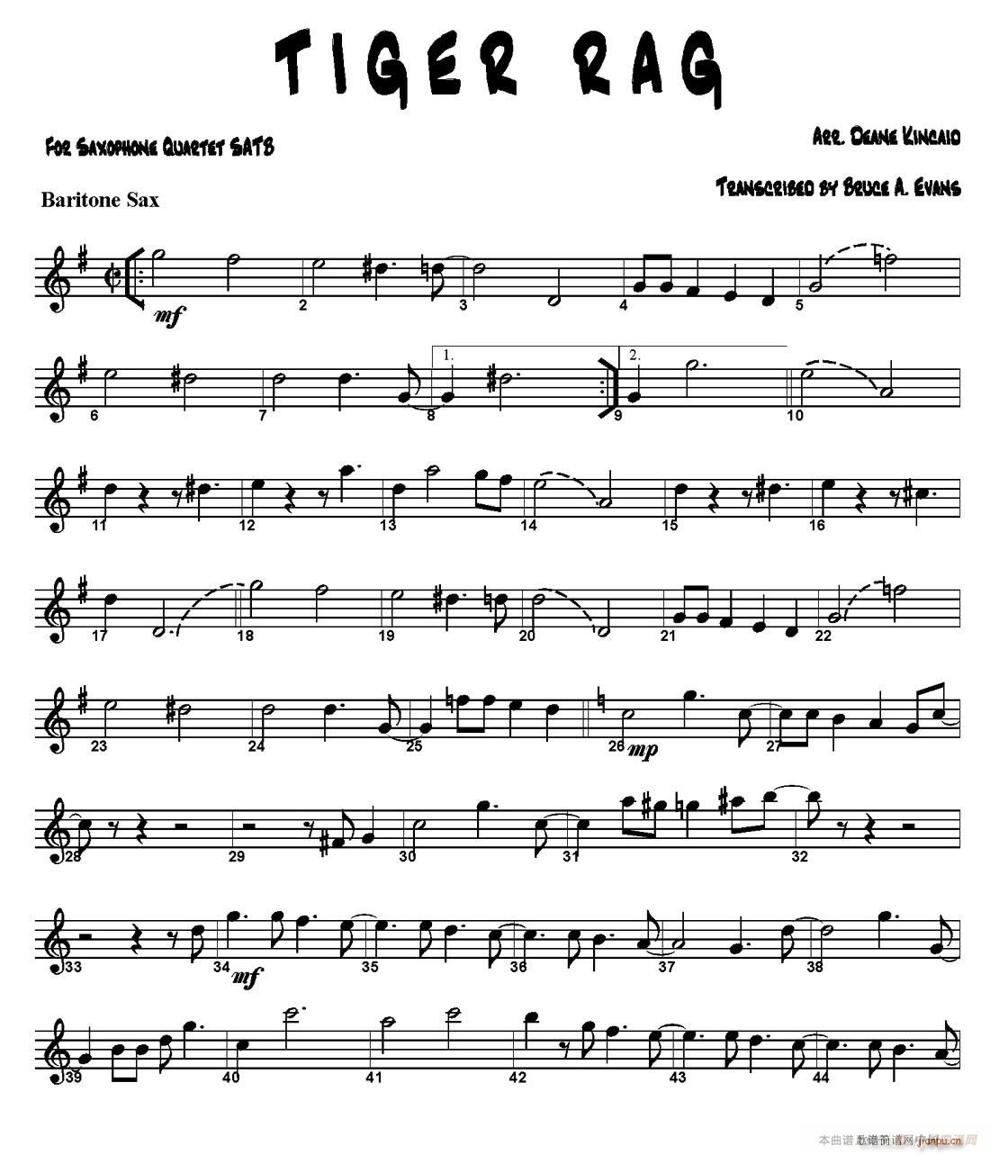 TIGER RAG (V)7