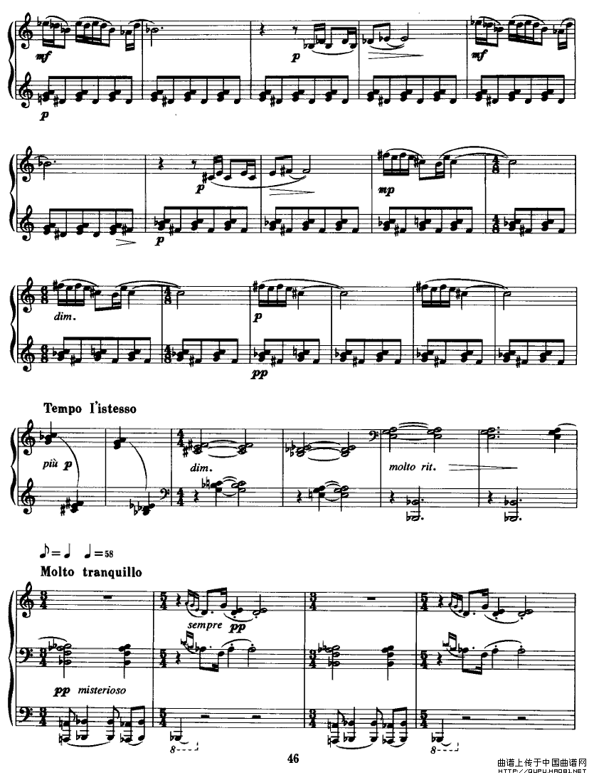 龰P5(V)1