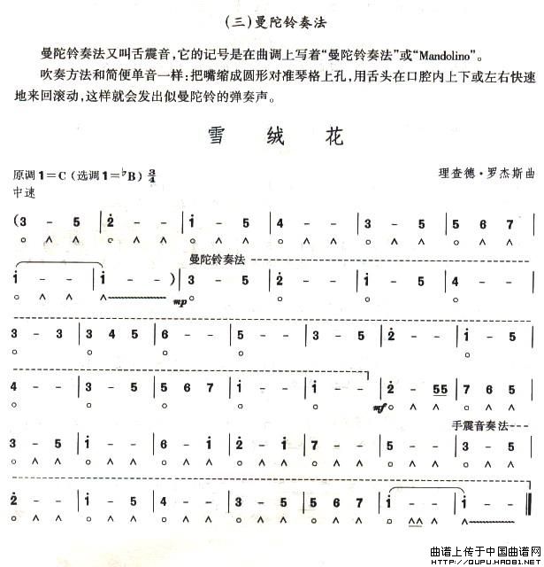 (j)ѩq()1
