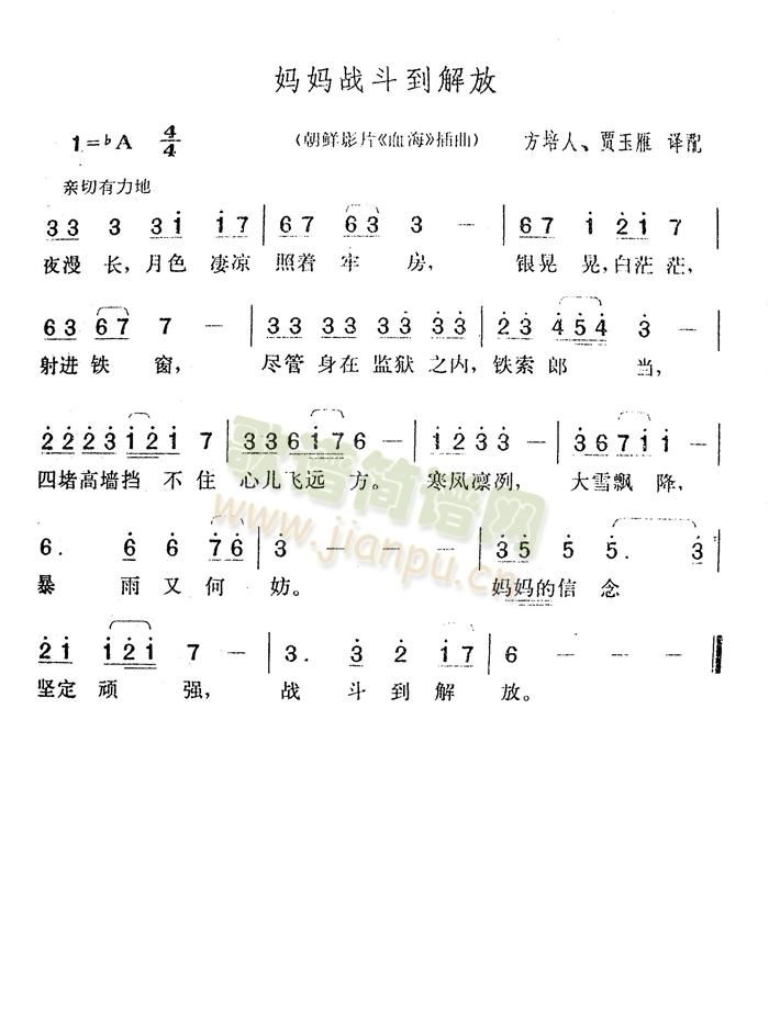 (zhn)(ָV)1