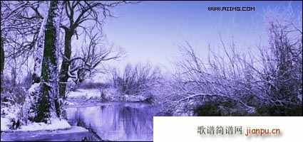  ߈@ ѩ(ָV)8
