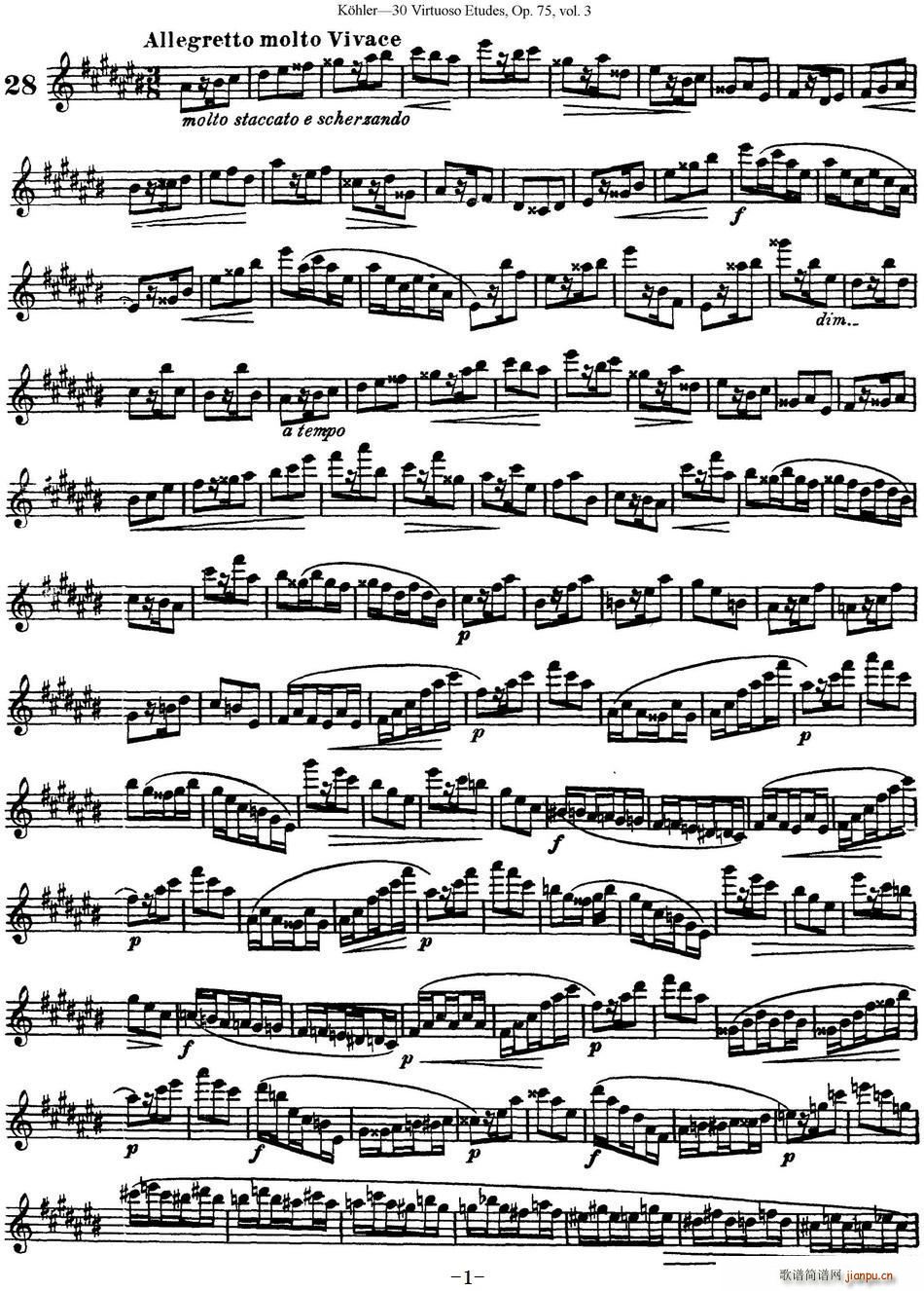 30׸߼LѾƷ75̖ NO 28(ѺV)1