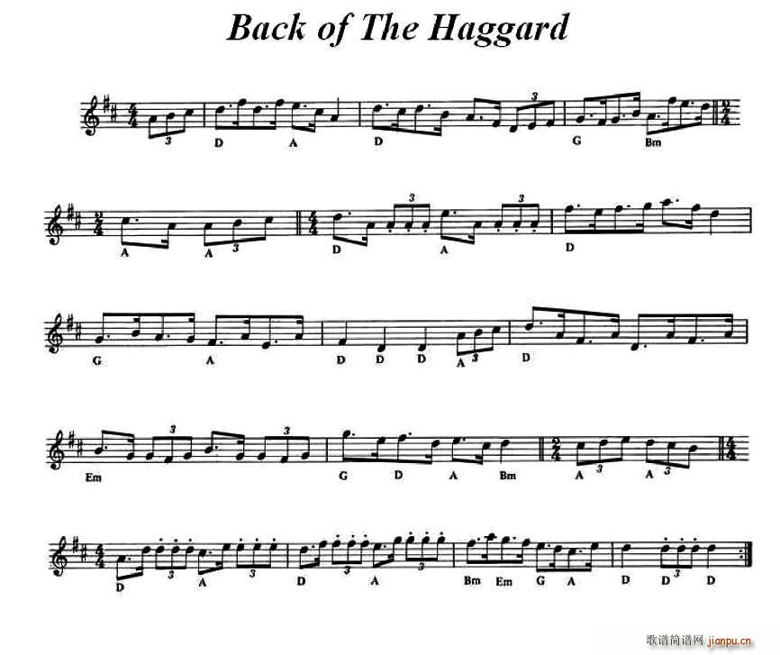 Back of The Haggard ۠m(ʮּ)1