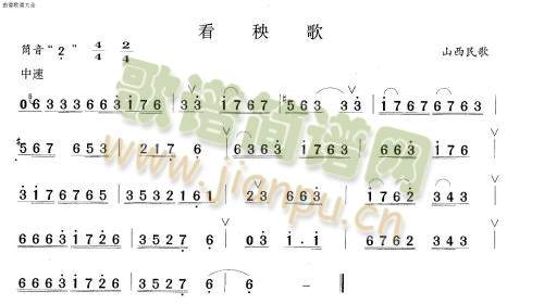 (ʒV)1
