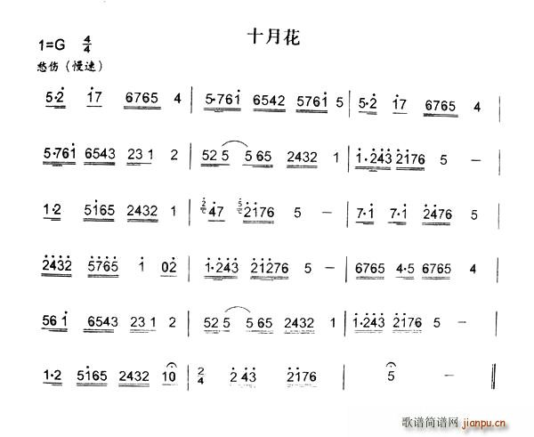 ʮ»(ָV)1