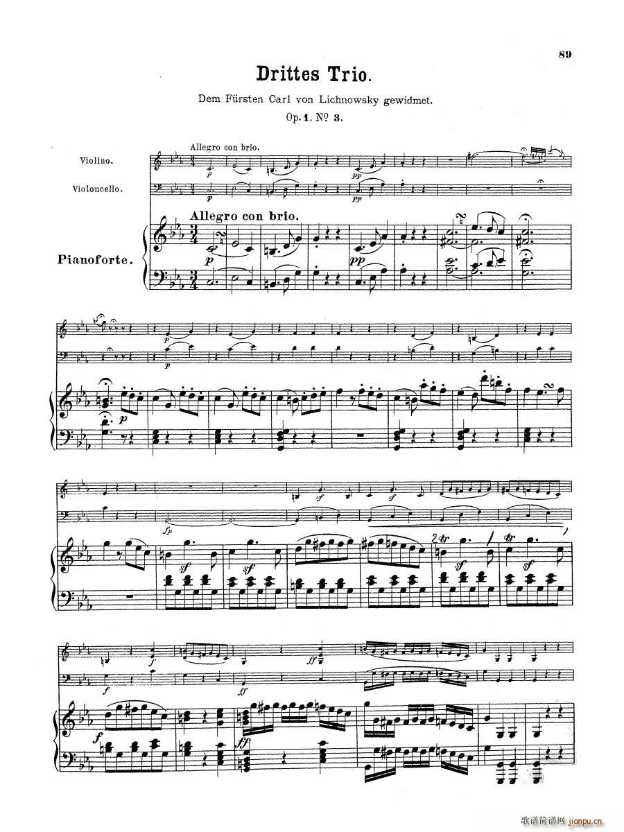 Beethoven op 1 no 3 Piano Trio(V)1