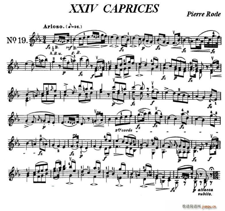 24Сپ(x)֮19(СV)1