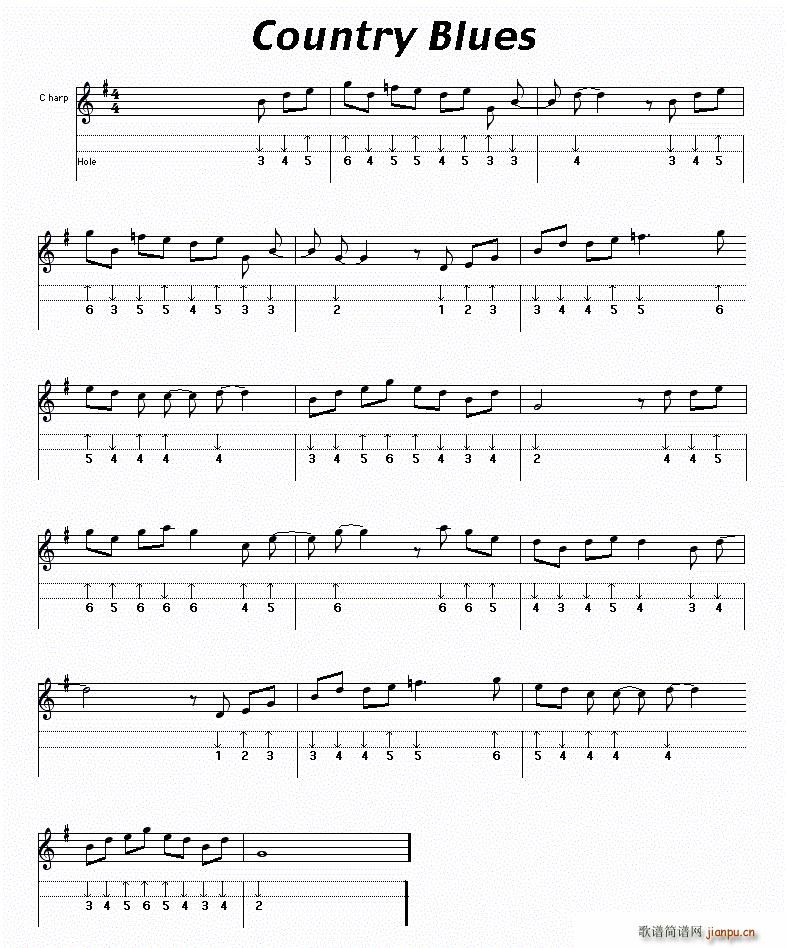 Country Blues ˹(V)1