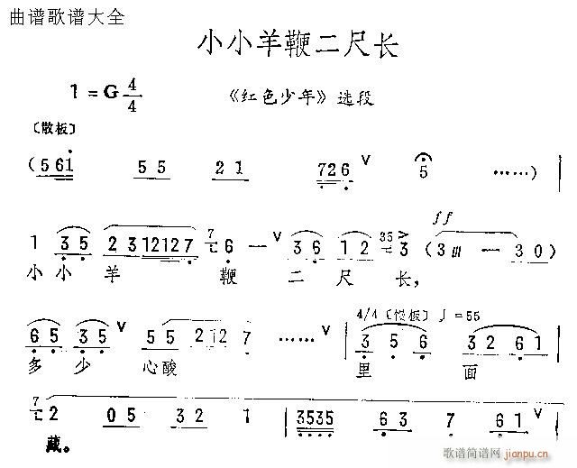 СС޶L(V)1
