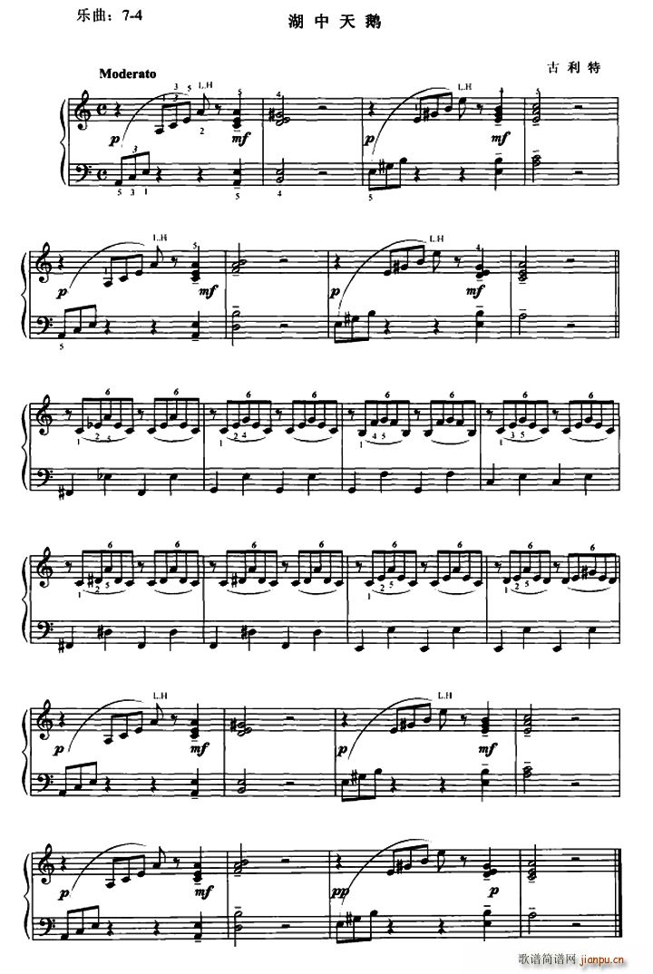 Z(V)1