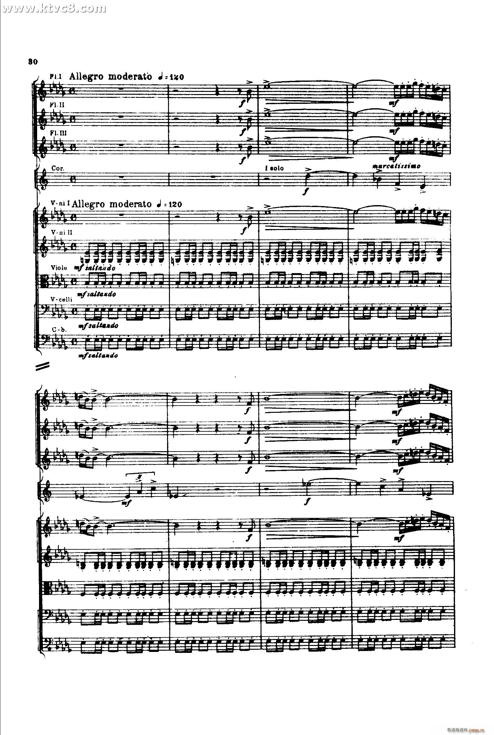 S1 ɲ(V)29
