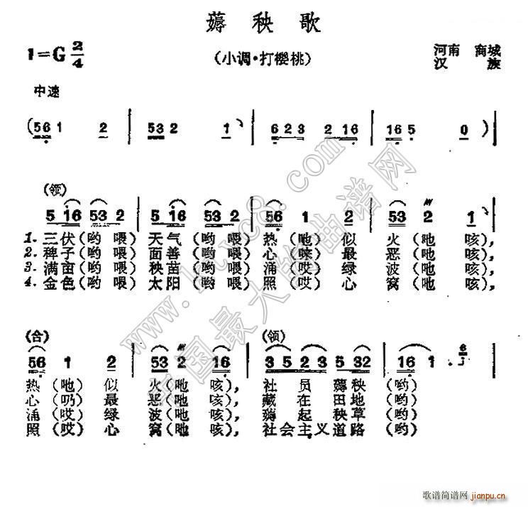 ޶ (ָV)1